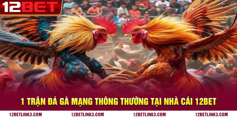 1 trận đá gà mạng thông thường tại nhà cái 12bet